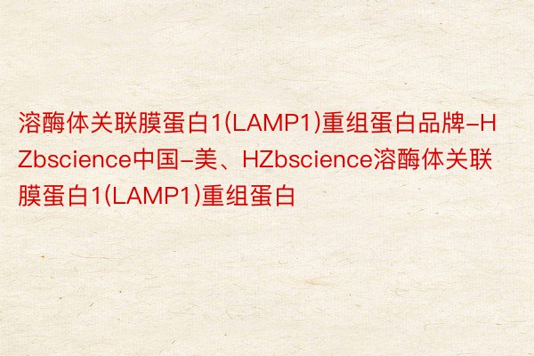 溶酶体关联膜蛋白1(LAMP1)重组蛋白品牌-HZbscience中国-美、HZbscience溶酶体关联膜蛋白1(LAMP1)重组蛋白
